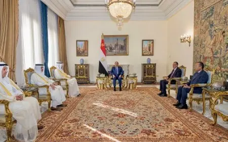 الرئيس السيسي يستقبل وزير الخارجية الكويتي ويبحث معه سبل تعزيز التعاون