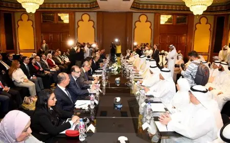 وزيرا خارجية مصر والكويت يترأسان اللجنة المصرية الكويتية المشتركة