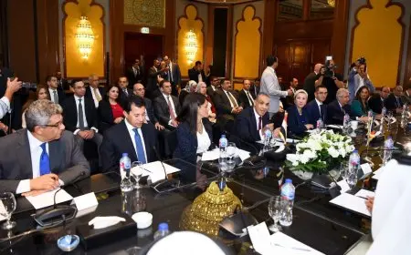 وزير الخارجية لنظيره الكويتي: نتطلع لزيادة الاستثمارات الكويتية بمصر