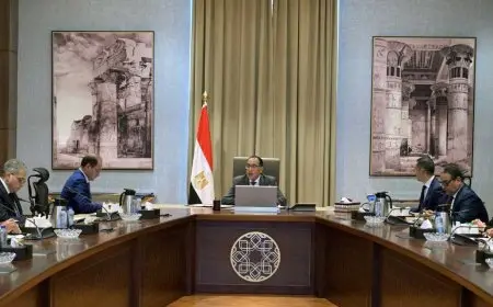 رئيس الوزراء يعقد اجتماعاً لبحث معايير وضوابط تنظيم سوق السيارات في مصر