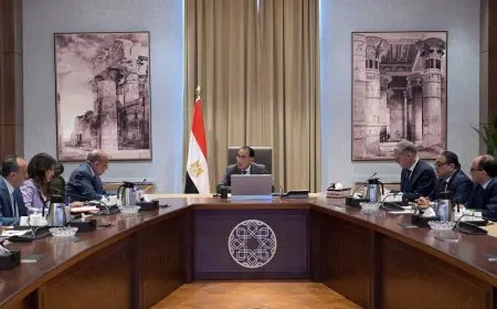 رئيس الوزراء يناقش جهود توفير الاحتياجات اللازمة لقطاع الكهرباء