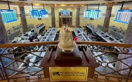 ما الحوافز الاستثمارية المطلوبة من الحكومة لدعم نمو سوق المال؟ خبراء يجيبون