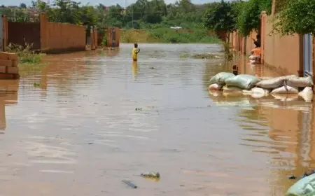 مصر تعزي النيجر في ضحايا الفيضانات