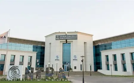 تصنيف مصر بالفئة الأعلى دوليًا بالمؤشر العالمي للأمن السيبراني