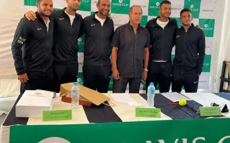 صفوت وعصراوى ضربة البداية فى مباراة مصر والمجر بكأس ديفيز للتنس اليوم