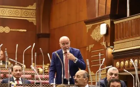 النائب حازم الجندي: تعديلات قانون الإجراءات الجنائية استجابة لتوصيات الحوار الوطني وتأكيد على الشفافية