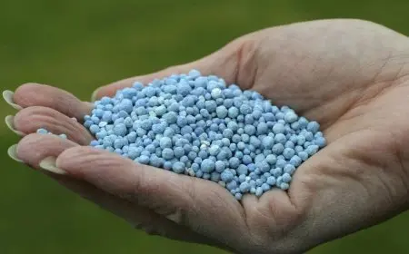 الزراعة تقرر إلغاء دعم الأسمدة عن 18 ألف فلاح بسبب سرقة التيار الكهربائي والتعدي على الأراضي