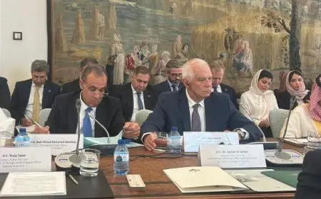 عبد العاطي يشارك في الاجتماع الوزاري حول القضية الفلسطينية وتنفيذ حل الدولتين