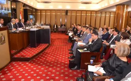 تشريعية النواب: نقاشات قانون الإجراءات الجنائية قائمة.. ولا تنتهي إلا بموافقة الجلسة العامة