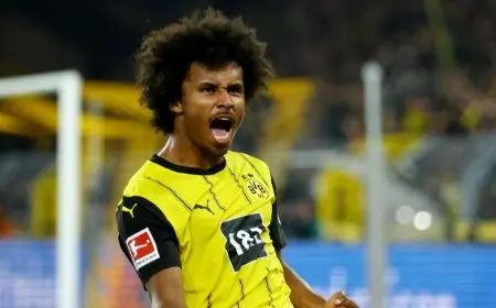 أديمي يلعب دور البطولة في فوز دورتموند على هوفنهايم