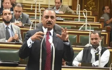 النائب إيهاب الطماوي: الإجراءات الجنائية لا يتيح لأي جهة دخول منزل مواطن دون إظهار أي إذن أو تصريح