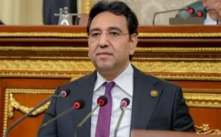 النائب أيمن محسب يطالب بتضافر الجهود الدولية من أجل تعزيز القانون الدولي دون تمييز