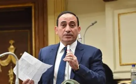 النائب محمد زين الدين: جهود مستمرة من الدولة لتنفيذ الاستراتيجية الوطنية لحقوق الإنسان