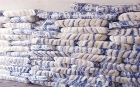 ارتفاع أسعار السكر والجبن الأبيض وانخفاض العدس اليوم السبت بالأسواق (موقع رسمي)