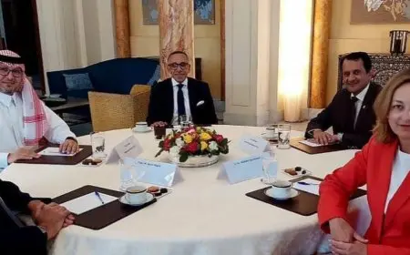 مصر تشارك في اجتماع اللجنة الخماسية حول لبنان