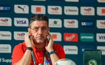 فيفا ينصر اتحاد الكرة المصري في أزمته أمام روي فيتوريا