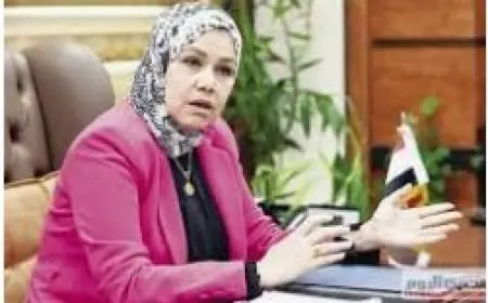 تشمل الأطباء والمحامين والفريلانسر.. الضرائب: حزمة إعفاءات ضريبية للانضمام للاقتصاد الرسمي