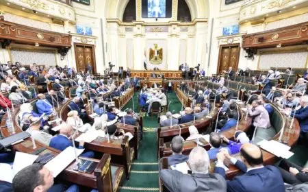 نواب: حريصون على خروج قانون الإجراءات الجنائية بأكبر قدر من التوافق السياسى