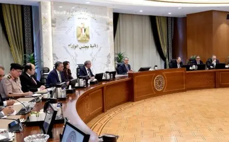 مجلس الوزراء: لا معلومات أولية عن أسباب حادث تصادم قطاري الزقازيق