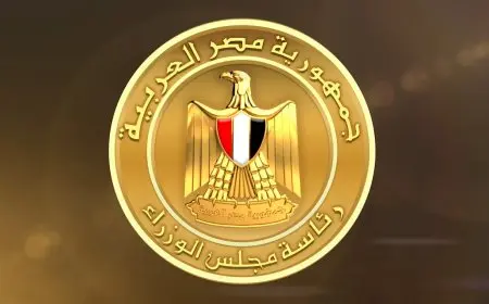 الحكومة تستجيب لشكوى عاجلة من أم لإنقاذ ابنها.. «أصيب بانتفاخ البطن»