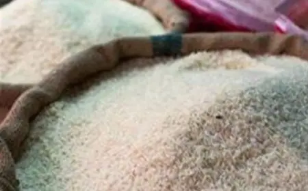 تراجع الأرز واللحوم وارتفاع السكر اليوم الاثنين بالأسواق (موقع رسمي)