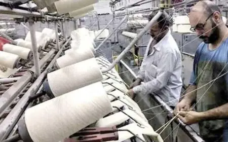 وزير قطاع الأعمال يتابع مستجدات المشروع القومي لتطوير صناعة الغزل والنسيج