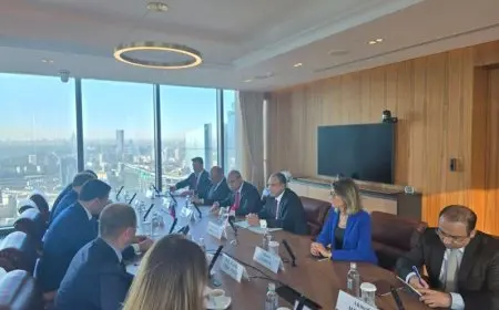 وزير الخارجية: لن نتوقف عن بذل كل الجهود الممكنة لوقف إطلاق النار في غزة