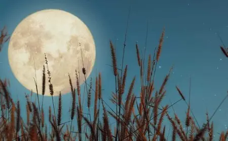 قمر الحصاد.. ظاهرة فلكية نادرة ترى في سماء الوطن العربي غدا الثلاثاء