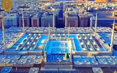 احتفالية المولد النبوي.. الرئيس السيسي يستمع إلى ابتهال في حب رسول الله