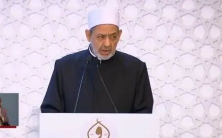 شيخ الأزهر: النظام العالمي تخلى عن نصرة الشعوب المضطهدة