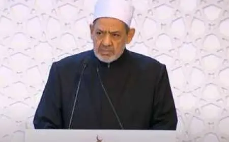 شيخ الأزهر يطالب بالتضامن مع غزة انطلاقا من صلة الدم والرحم والمصير المشترك