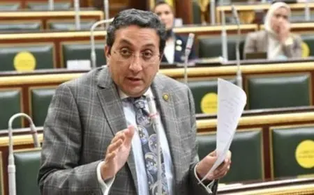 عضو تشريعية النواب: بيان نقابة الصحفيين كان يحمل بعض العبارات القاسية