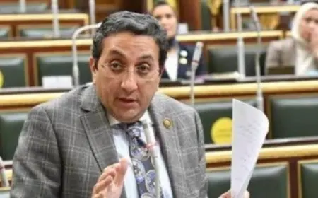 النائب إيهاب رمزي: اعتراضات المحامين على قانون الإجراءات الجنائية لا تتعلق بالدستورية