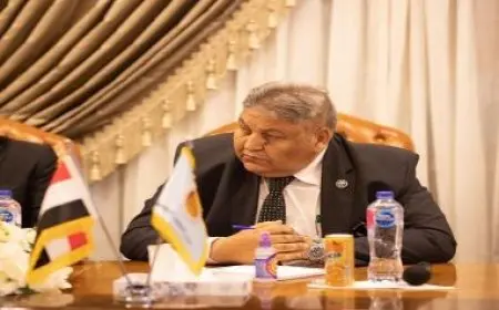 النائب وفيق عزت: الحكومة لم تعرض على مجلس النواب خطة لتخفيف الأحمال من جديد