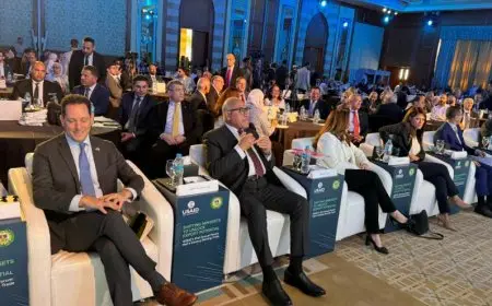 المالية: العمل على تحسين منظومة رد الأعباء التصديرية ووضع آليات جديدة