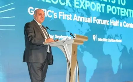 نائب وزير المالية: سياسات مالية جديدة لتحفيز التدفقات الاستثمارية والإنتاجية والتصديرية