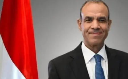 وزير الخارجية: مصر تتحمل أعباء هائلة نظير استيعاب ملايين الضيوف على أراضيها