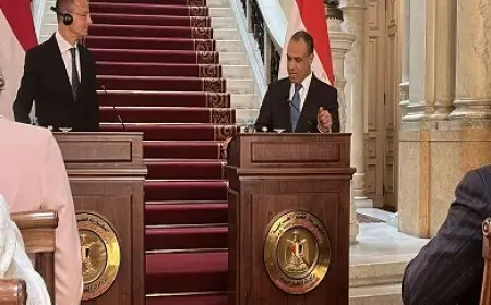 وزير الخارجية: توقيع مذكرة تفاهم مشتركة مع المجر لتوليد الكهرباء من الطاقة النووية