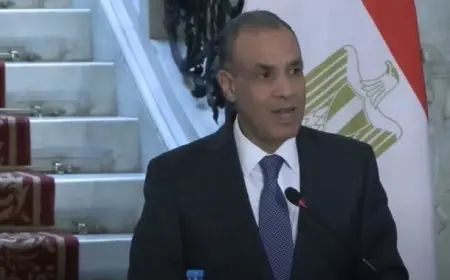 وزير الخارجية: المجر تقدم 200 منحة دراسية للطلاب المصريين