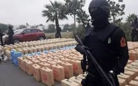 الداخلية: ضبط 6 عصابات و12 طن مخدرات خلال يوم