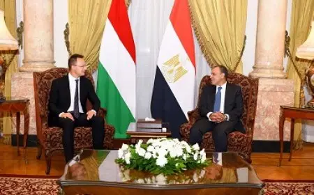 وزير الخارجية يعقد جلسة مباحثات مع نظيره المجري بالقاهرة