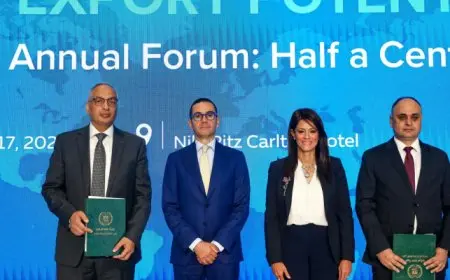 المشاط: ضبط الإنفاق الاستثماري الحكومي لمنح القطاع الخاص دورًا أكبر في الاقتصاد