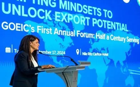 المشاط: نعمل على سد فجوات التنمية القطاعية من خلال التعاون الدولي ودفع جهود التنمية الاقتصادية