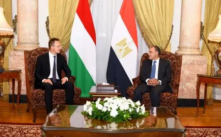 وزير الخارجية: حريصون على توسيع التعاون الاقتصادي مع المجر ليشمل الطاقة النووية