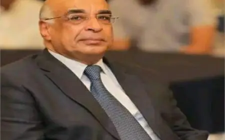 نقل مقر دوائر استئناف العبور والخصوص والخانكة إلى شبرا الخيمة