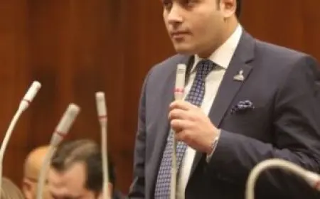 عضو بمجلس الشيوخ: قرار النيابة بتفعيل بدائل الحبس البسيط لـ54 من المحكوم عليهم يعزز حقوق الإنسان