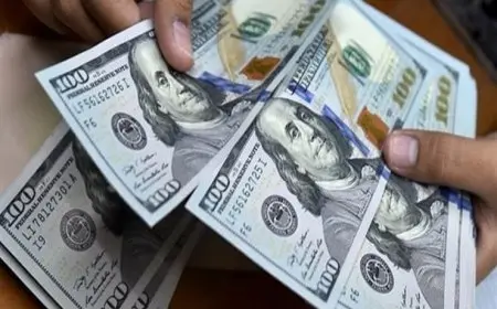 سعر الدولار يتراجع مقابل الجنيه في 9 بنوك مع نهاية تعاملات اليوم الثلاثاء