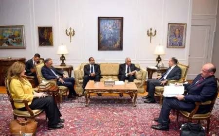 وزير الخارجية والهجرة يستقبل وفد غرفة التجارة الأمريكية