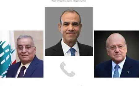وزير الخارجية يجري اتصالين هاتفيين برئيس الحكومة ووزير الخارجية اللبنانيين