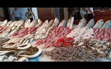 تراجع الجمبري.. أسعار السمك اليوم الأربعاء في سوق العبور